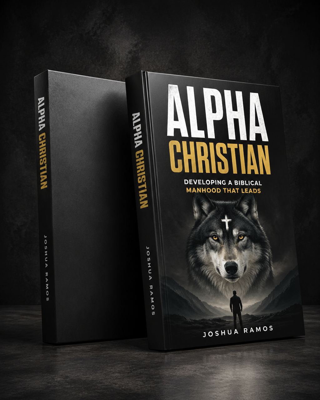Alpha Christian - Night Vow main product image
